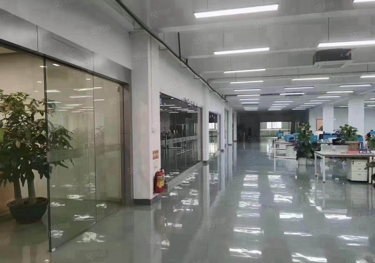 松岗大田洋独门独院精装修6000平大小可分组