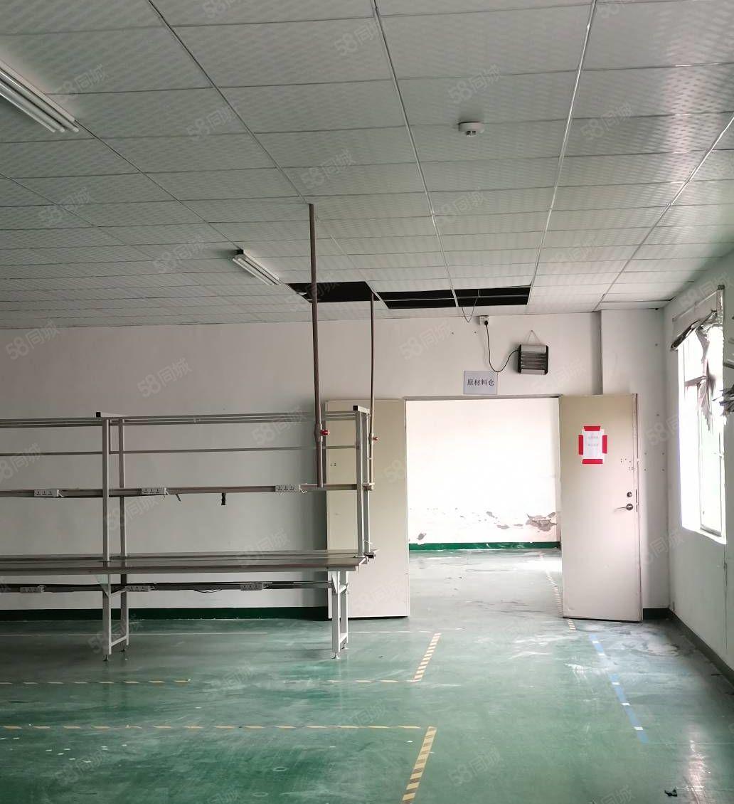 固戍航城大道旁楼上600平带装修厂房出租