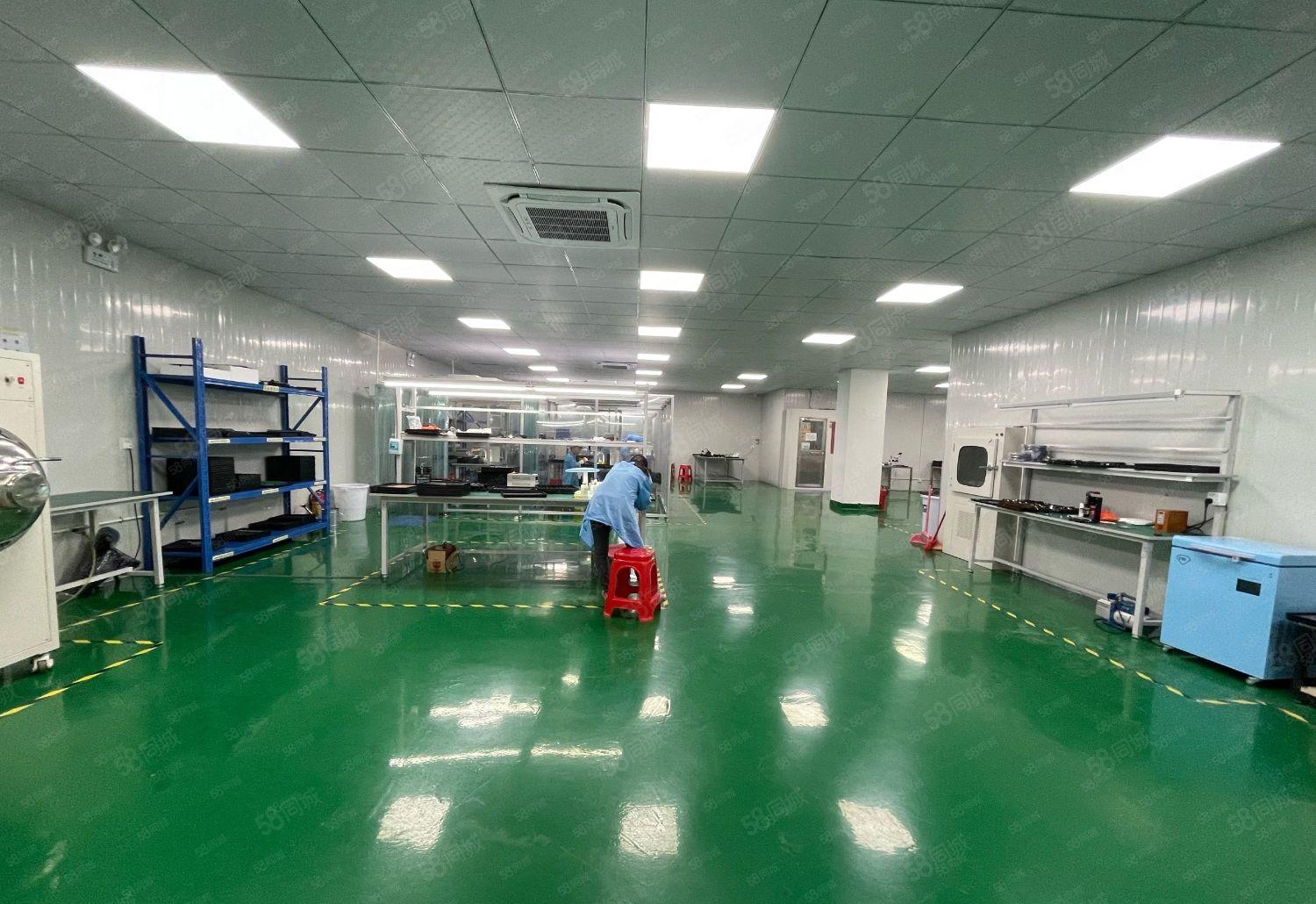 洲石路边上带装修厂房730平方招租