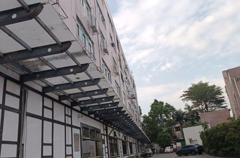 西乡九围工业区原房东楼上精装修406平，办公室两间