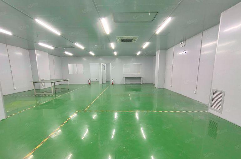 直租。西乡九围，鹤洲恒丰工业城附近，300平无尘车间厂房出租