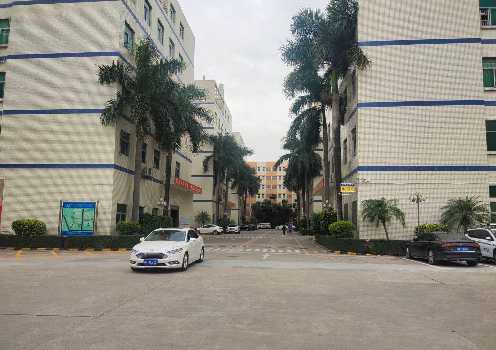 100平起分租石岩厂房独院精装6000平办公室仓库厂房出租