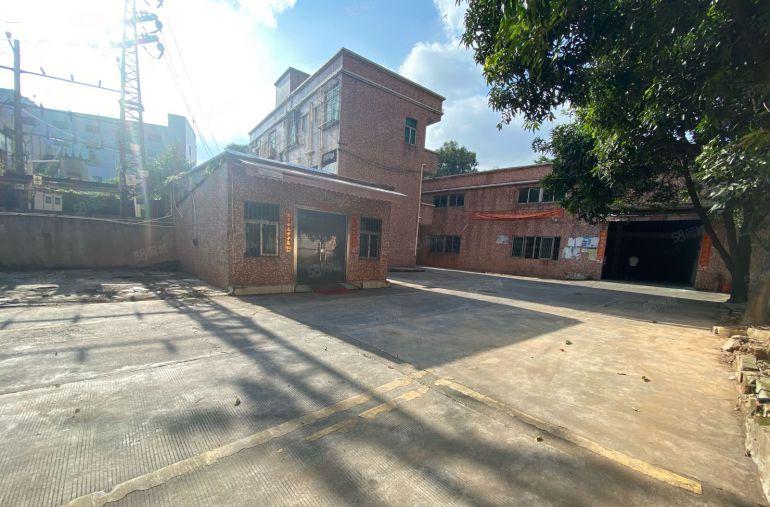 松岗原房东单一层独院钢构1100平厂房出租