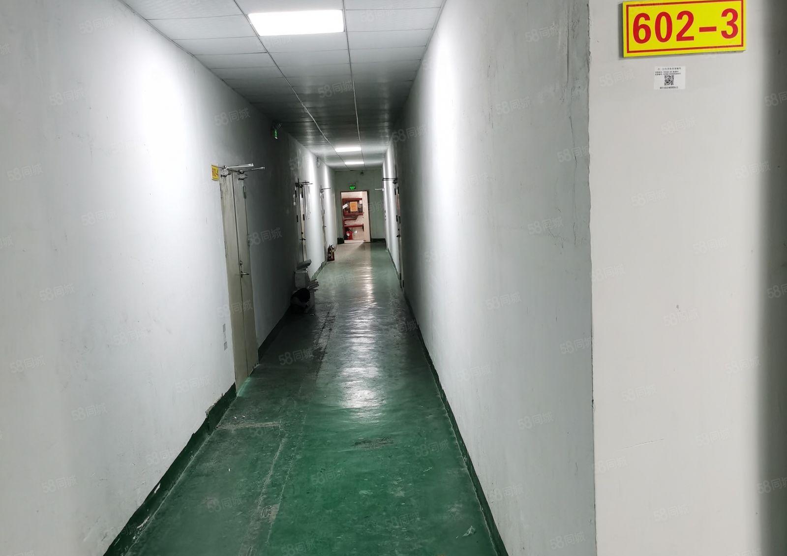 23区洪浪北地铁站旁225平厂房可办公生产出租