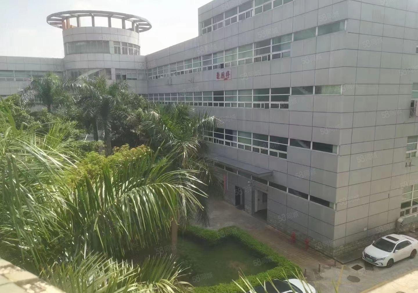 厂房出租松岗大田洋楼上800平方带精装修厂房