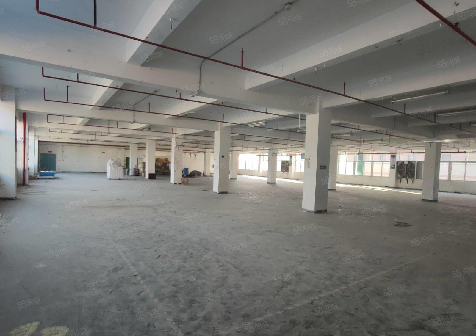 可分租！石岩塘头工业区原房东楼上2300平精装修厂房仓库出租