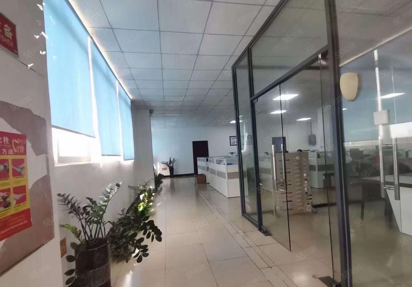 沙井厂房仓库办公室出租300平分租合租可办环评带装修无转让费