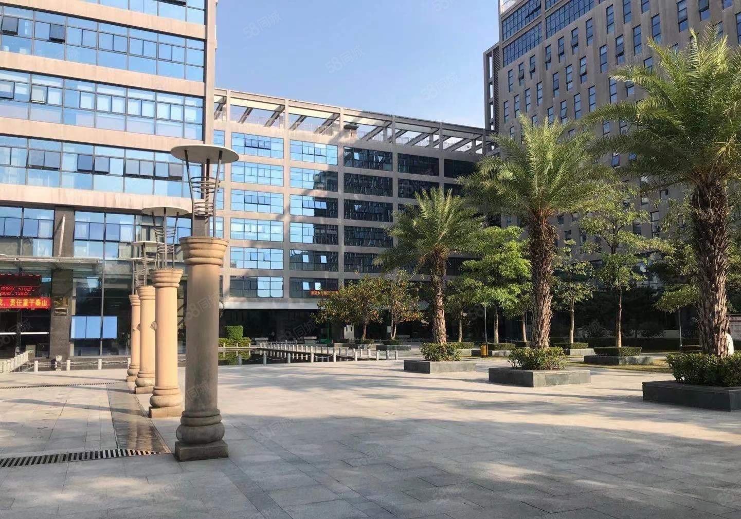 光明高新区精装200平至1000平电商直播办公室仓库厂房出租