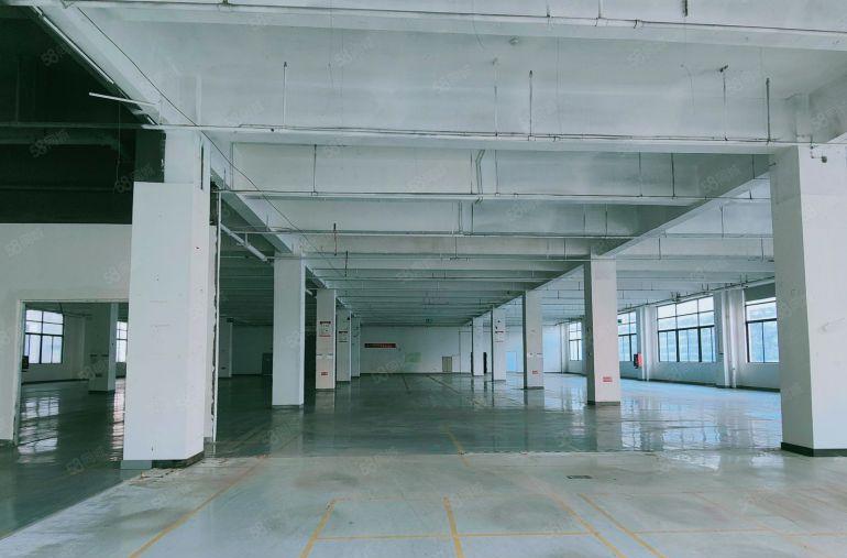 8成使用率！一楼3000平高5米1000平起租临广深高速