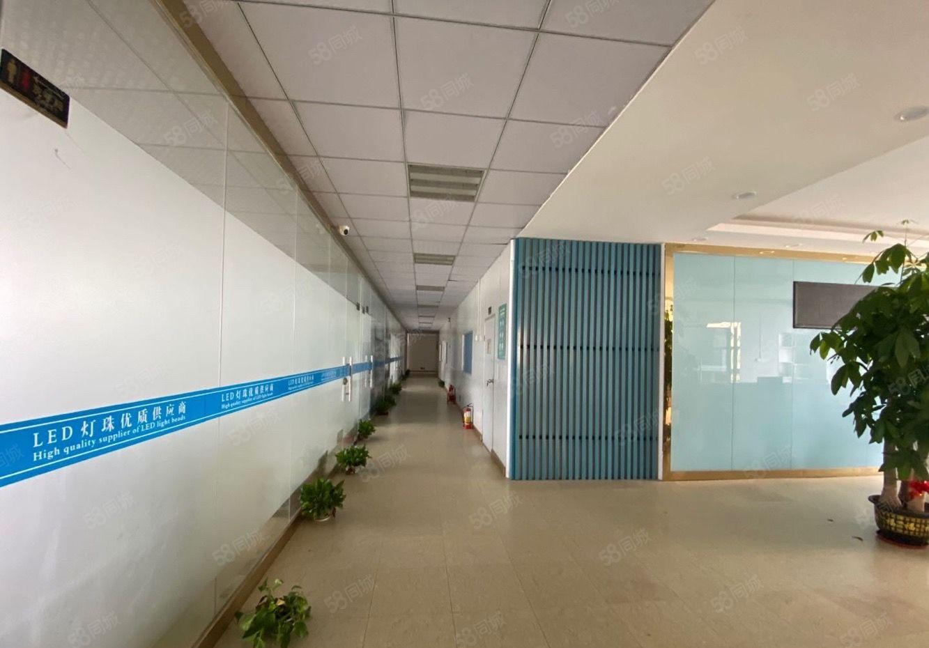 宝安石岩汽车站附近1000平方原房东精装修红本厂房出租零公摊