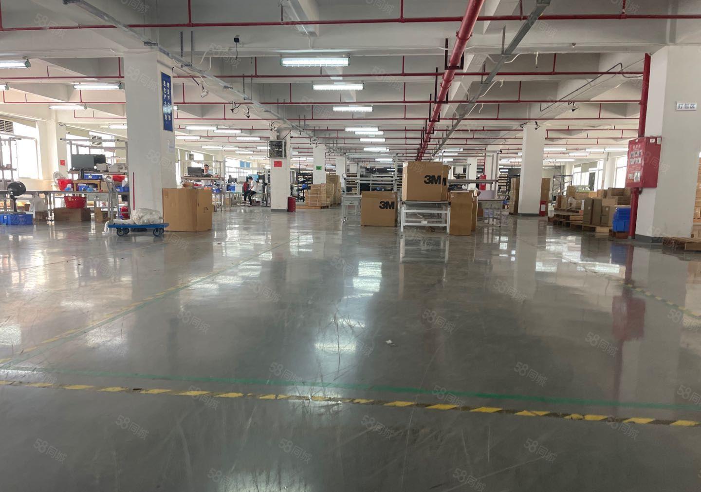 福永和平独栋1至4层9000平红本厂房分租单层3000平起租