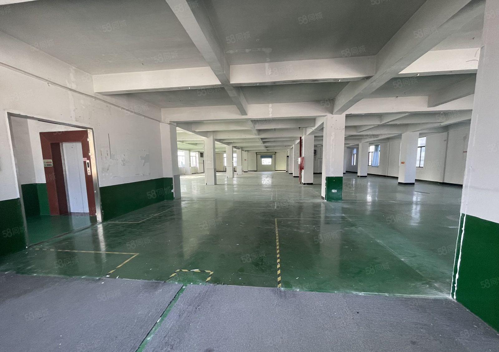 宝安西乡 新出整层厂房1155平米 精装光线好 行业不限