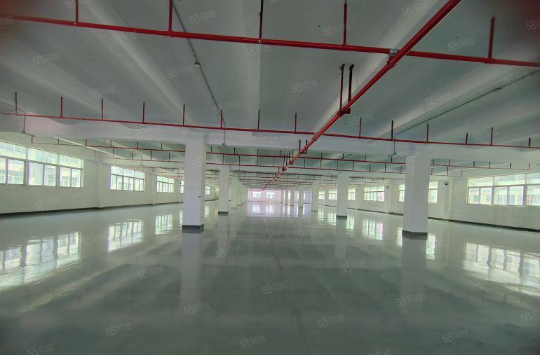 沙井6000平 独门独院厂房仓库 原房东红本实际面积 可分租