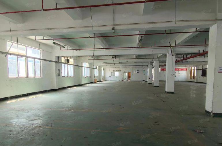 松岗地铁站旁工业园原房东精装修600平方厂房仓库低价出租