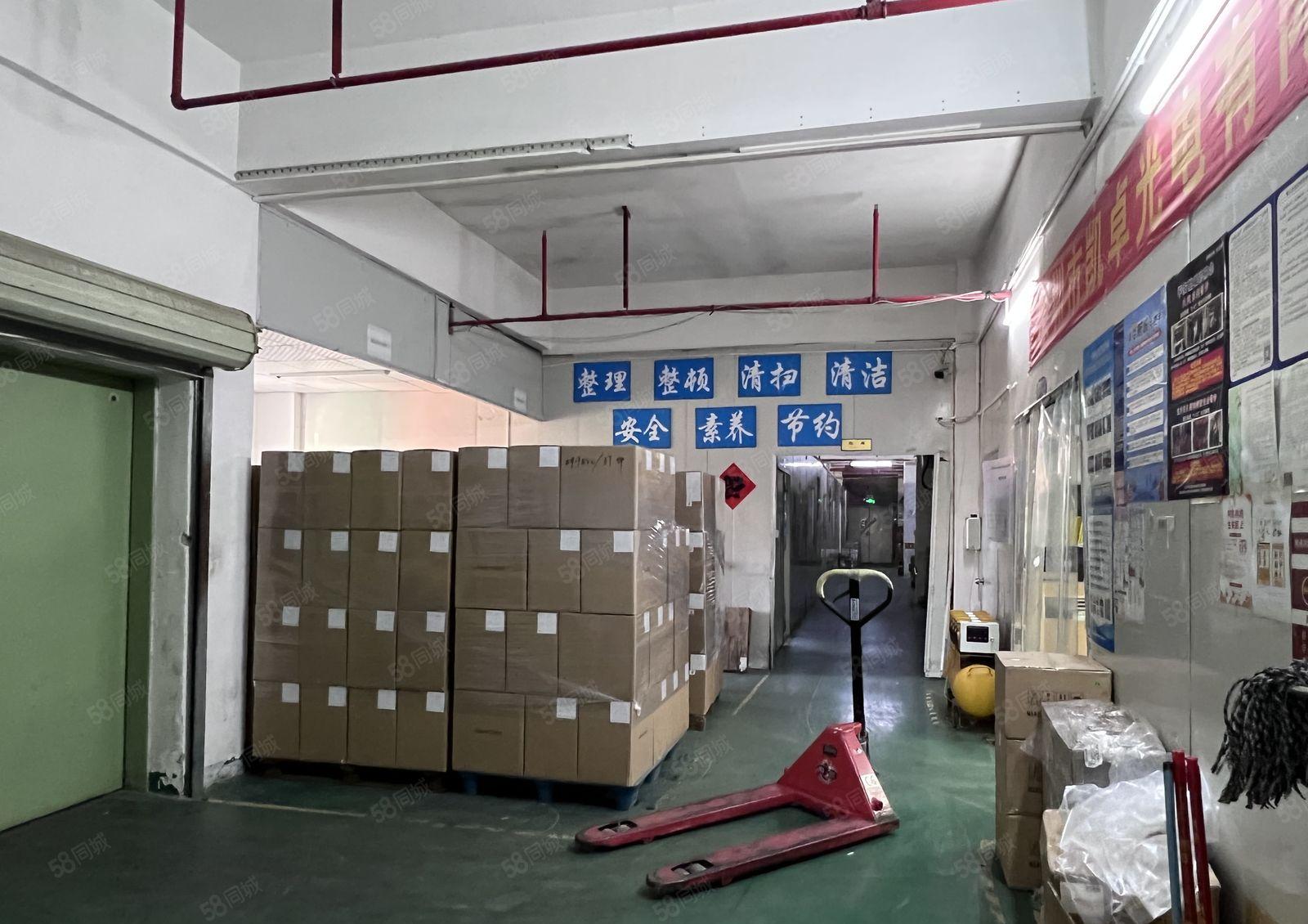 西乡簕竹角 整层1700平米 精装修 带办公室 消防喷淋