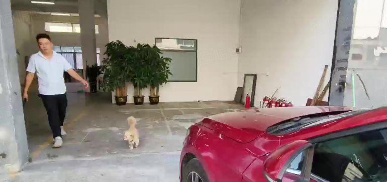 西乡，后瑞地铁站附近，新出一楼带装修380平厂房出租，电到位