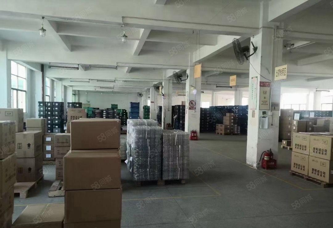 宝安区福永楼上整层1350平实际面积出租