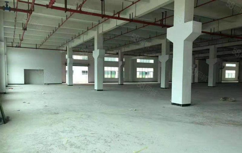 福永怀德翠岗原房东无公摊独院标准厂房5万招租大小可分