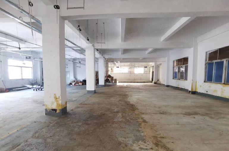 原房东西乡固戍一楼500平出租