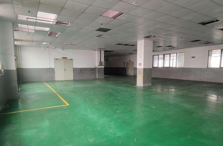 石岩塘头独栋厂房出租现成装修主干道边500平起分租