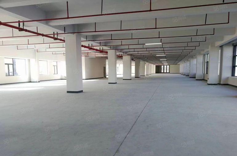 新桥外环高速路口重工业厂房出租2楼1800平实际面积5吨电梯