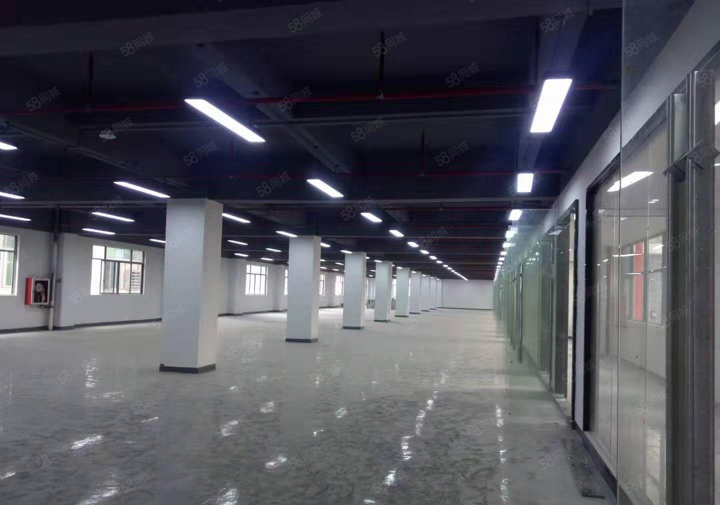 宝安固戍 精装厂房1780平米 带消防喷淋 采光通透