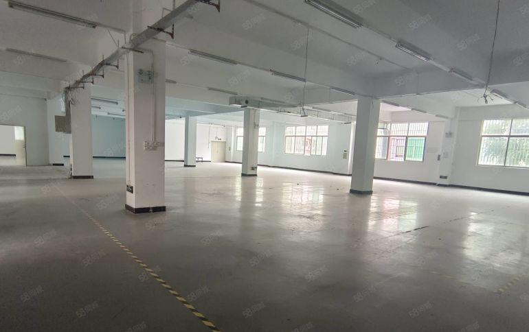 福永和平500平精装修厂房出租仓库出租电商贸易形象好合同长