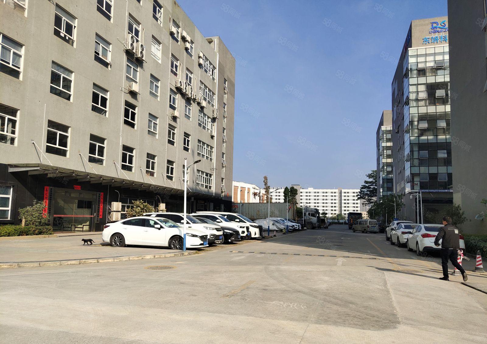 500起分石岩石龙仔大工业园一二楼各2000平厂房出租有红本