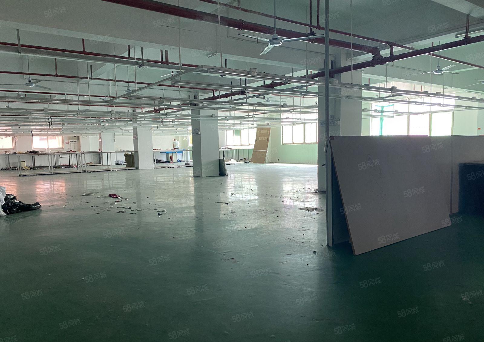 固戍宝安大道旁大型厂房出租1500平大小可分