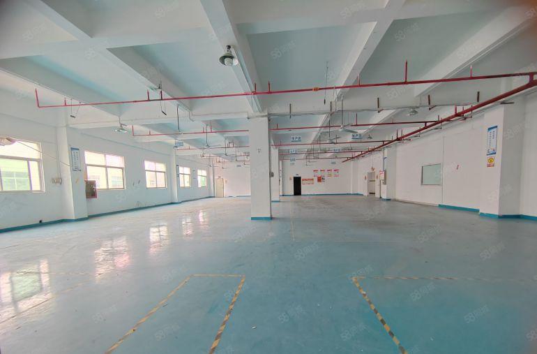 福永6800平村委原房东厂房招租直租 独门独院有红本 可分租