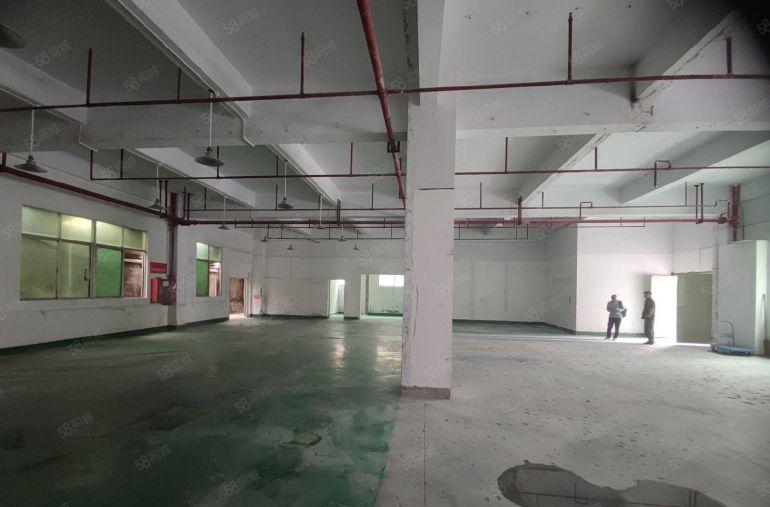 西乡固戍原房东精装修厂房100平到960平电商贸易仓库可分