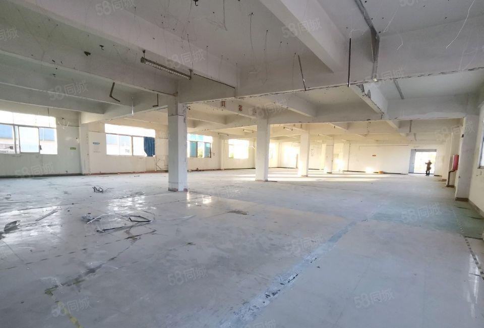 沙井沙头京基百纳附近独栋厂房13层共3300平方出租