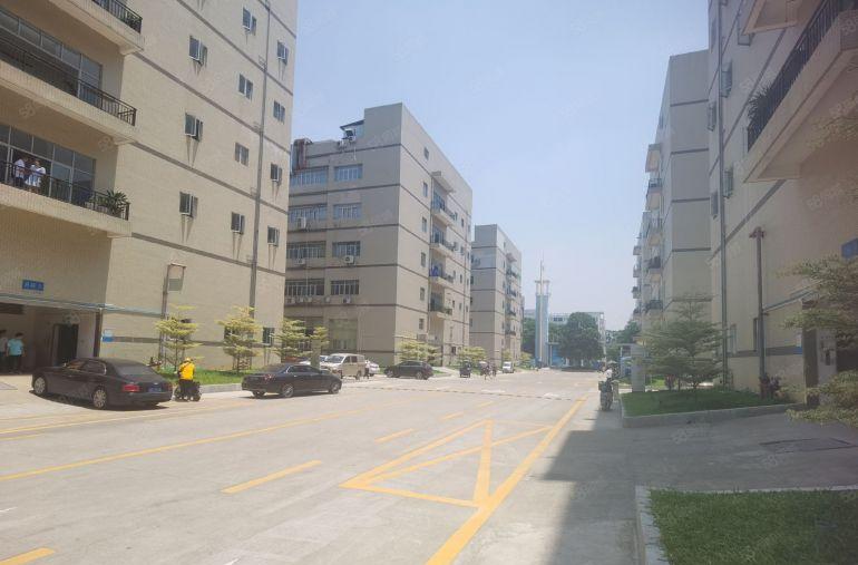 松岗200平起租精装600平办公研发电商仓库出租厂房出租