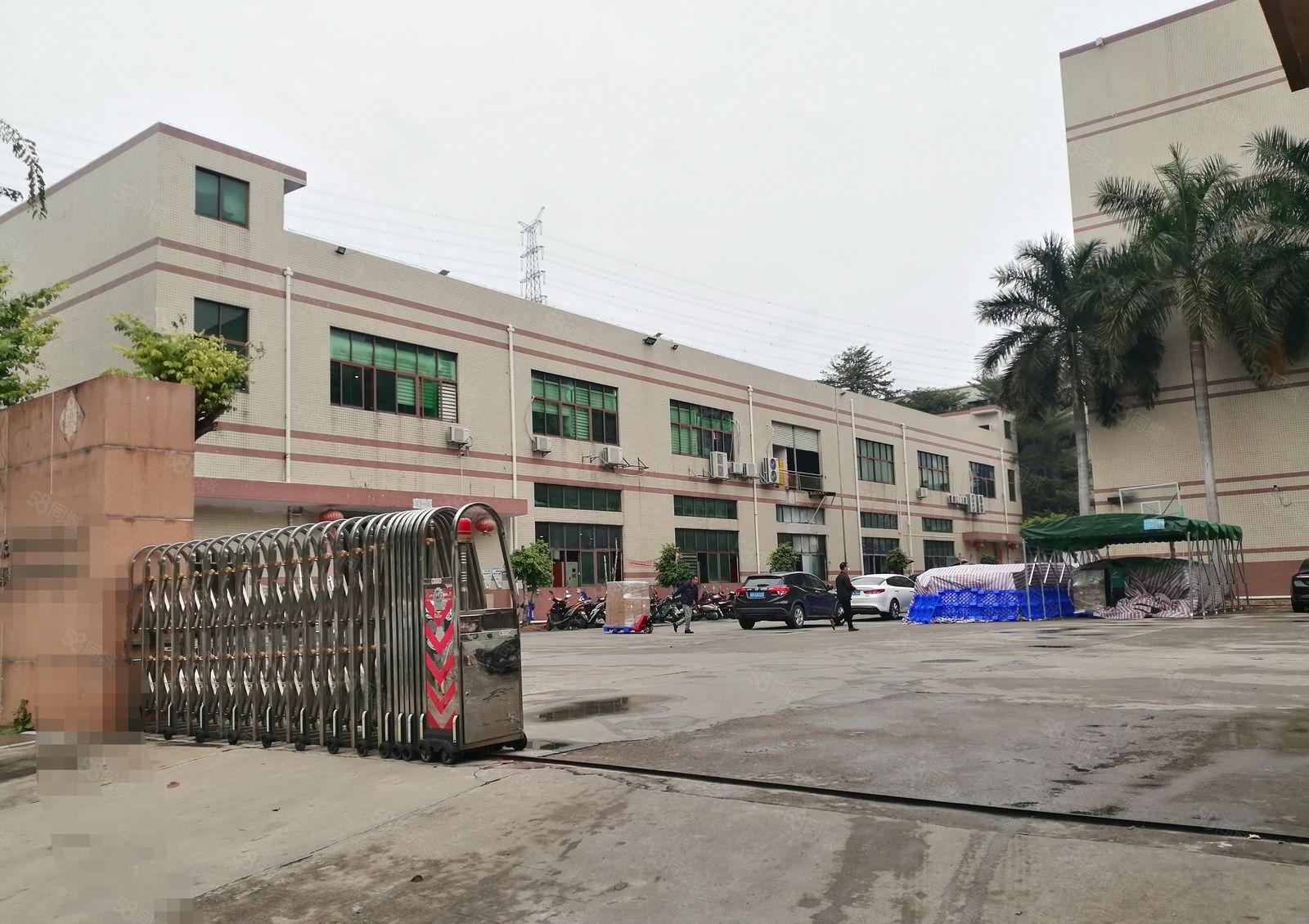 沙井107国道边原房东红本独院厂房3200平方