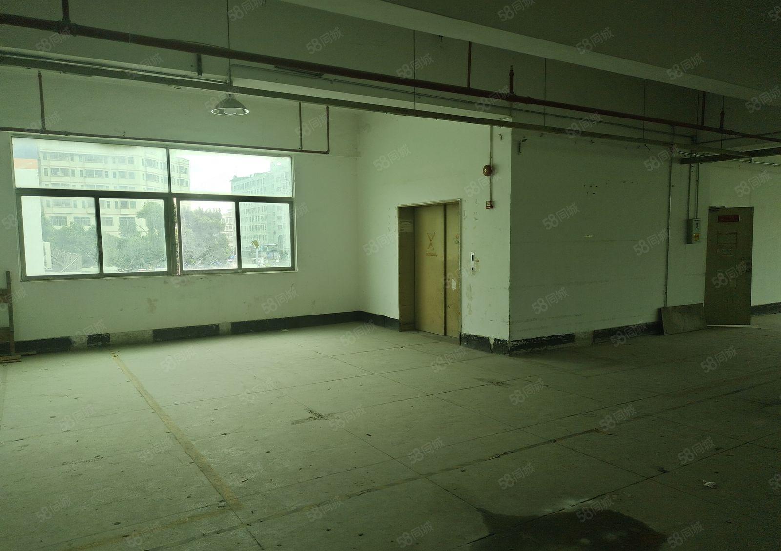 福海盛和兴物流园厂房仓库出租