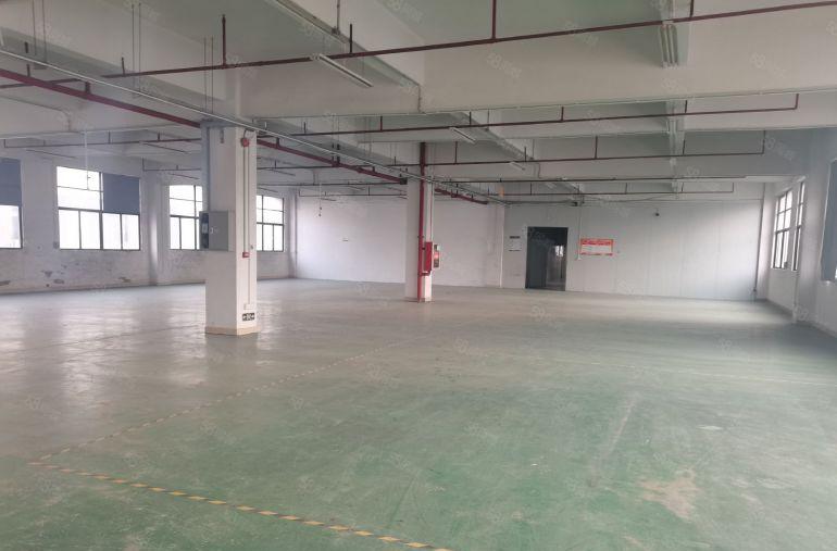 松岗楼上带装修厂房出租，免租期两个月