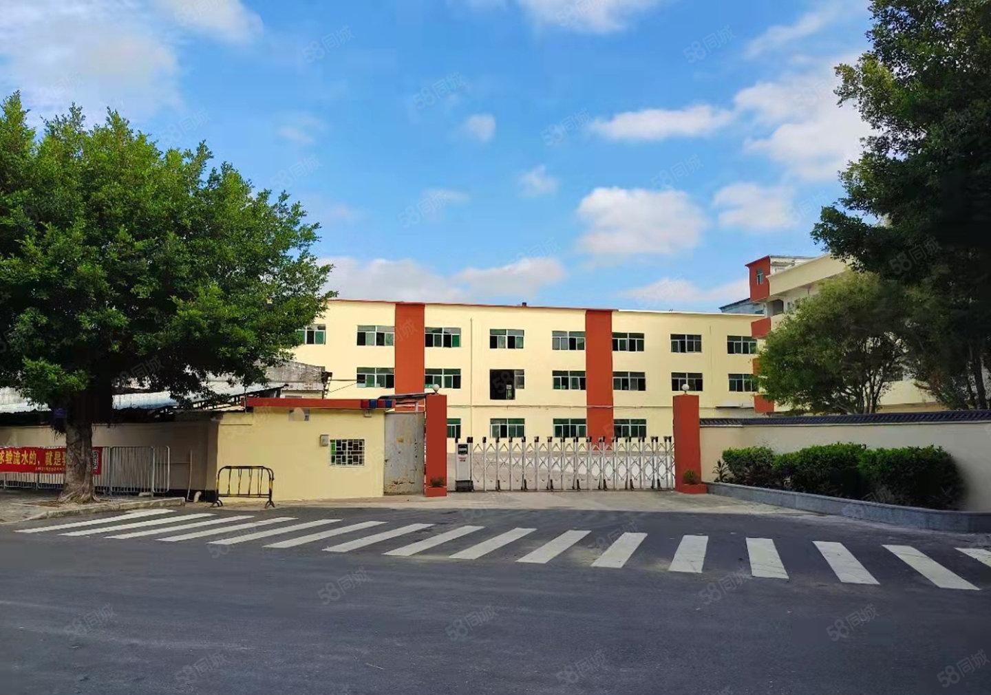 原房东直租松岗燕罗独院8800平仓库厂房空地大交通便利可分租