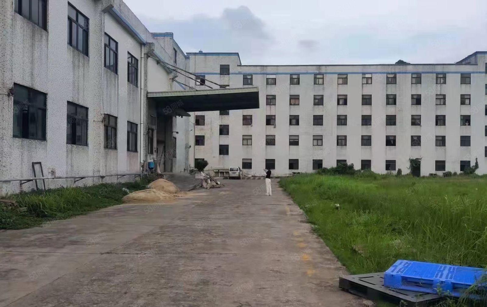 松岗107国道边上出租原房东一楼独门独院6500平