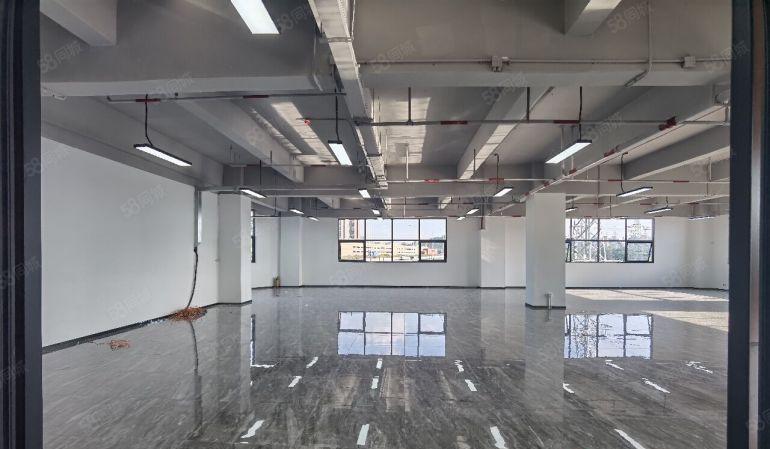 南山西丽留仙洞产业基地办公，研发590平全新装修