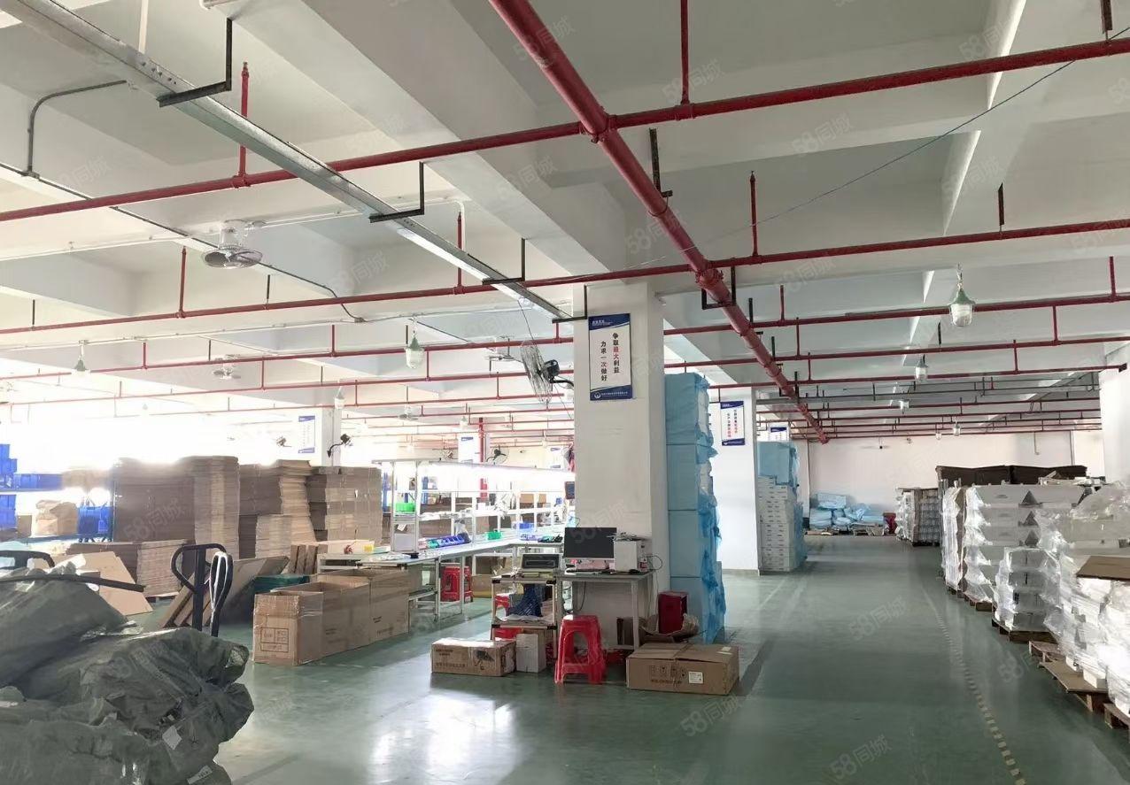 福永和平原房东整层2200平厂房精装修无转让费房东出租