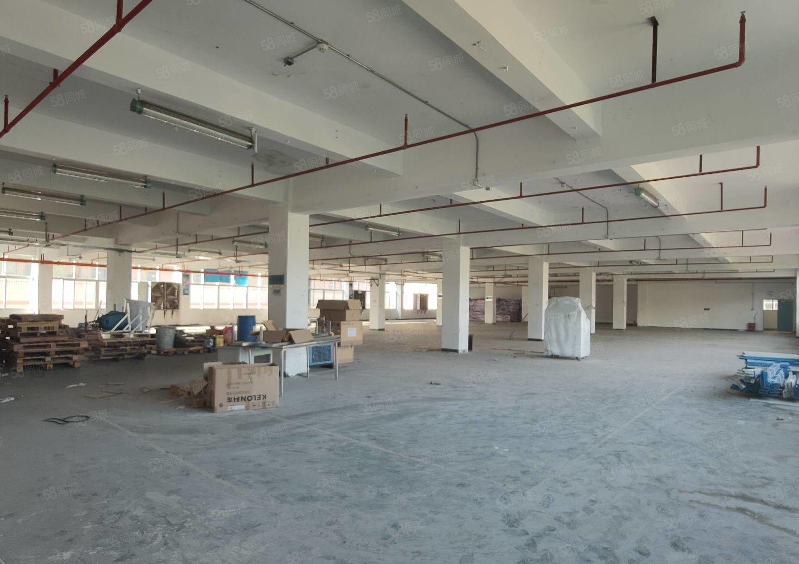 可分租！石岩塘头工业区原房东楼上2300平精装修厂房仓库出租
