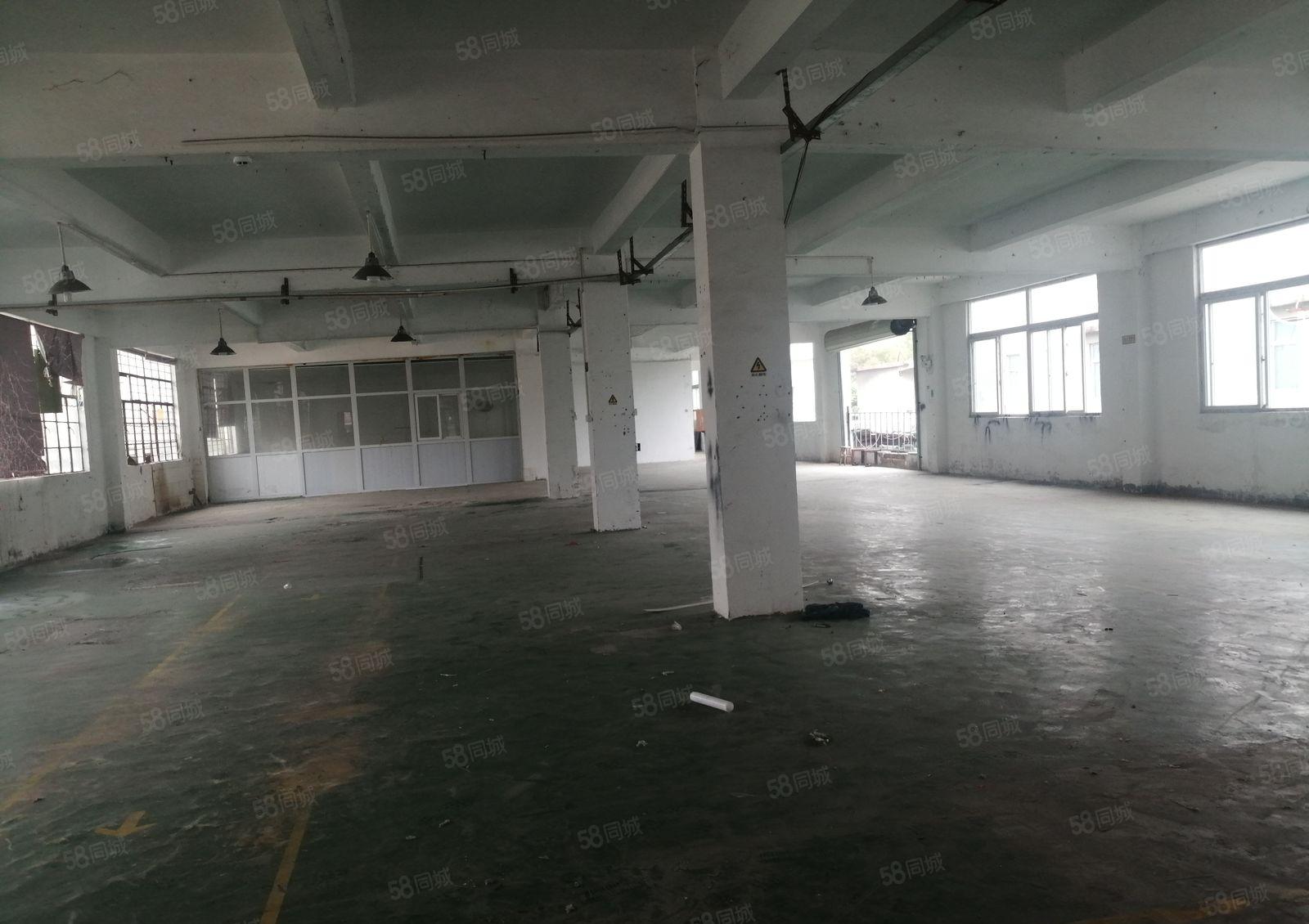 沙井镇黄埔附近村委独院厂房3900平方出租