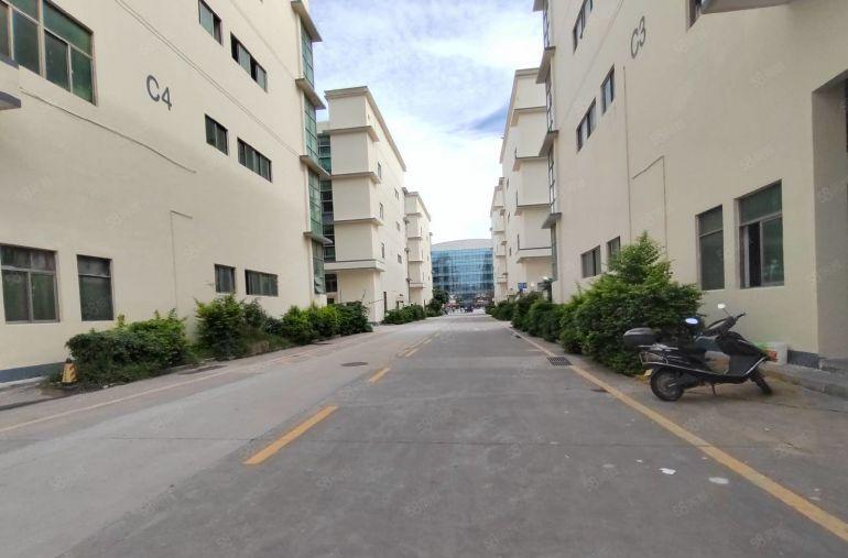 500平起分租石岩塘头原房东带红本1000平厂房仓库出租