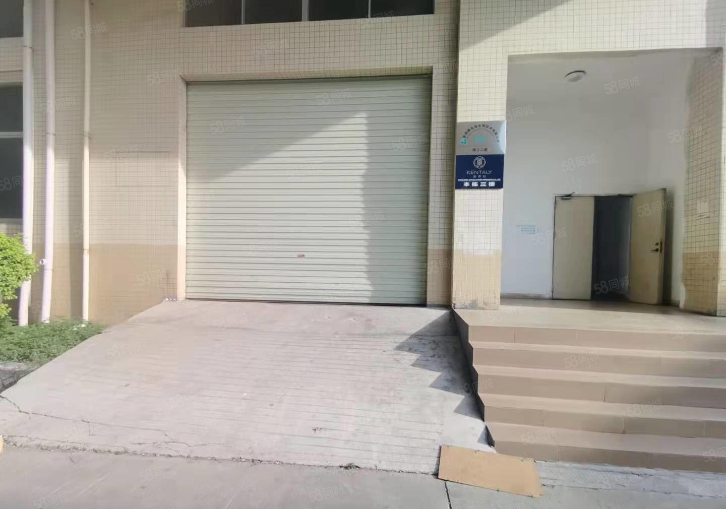 石岩洲石路附近原房东独门独院一楼1000平精装修厂房出租仓库