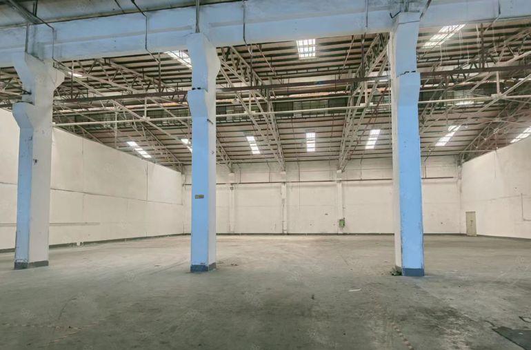 25元！1楼独门独院零公摊1000平高7.6米钢构实惠实用