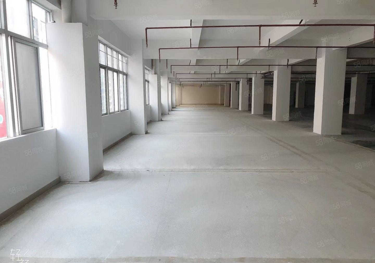 福永塘尾楼上1500平出租带全新地坪漆可分租可整租园区交通方