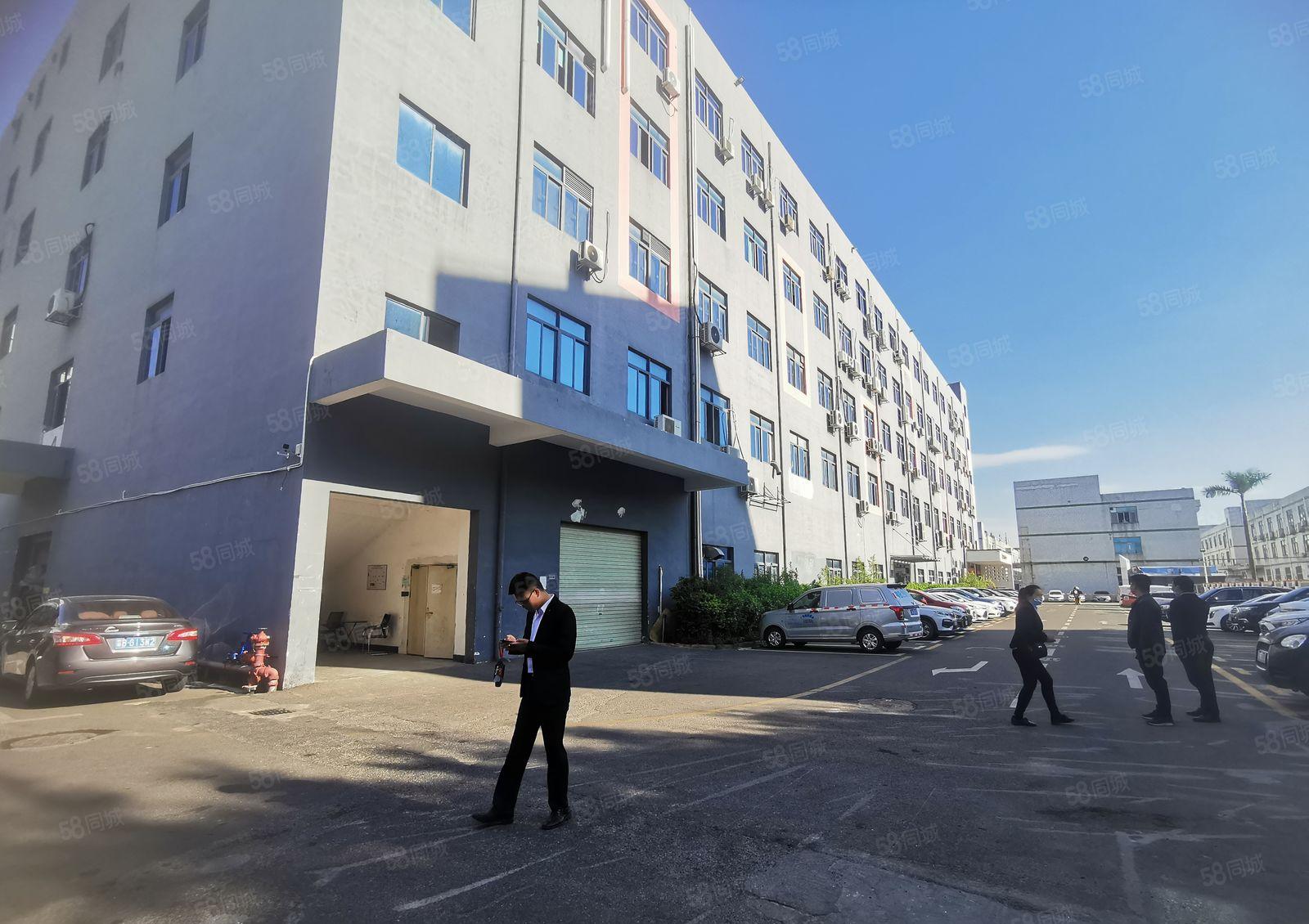 松岗沙浦围精装厂房办公200.300平可分租电商贸易组装仓库