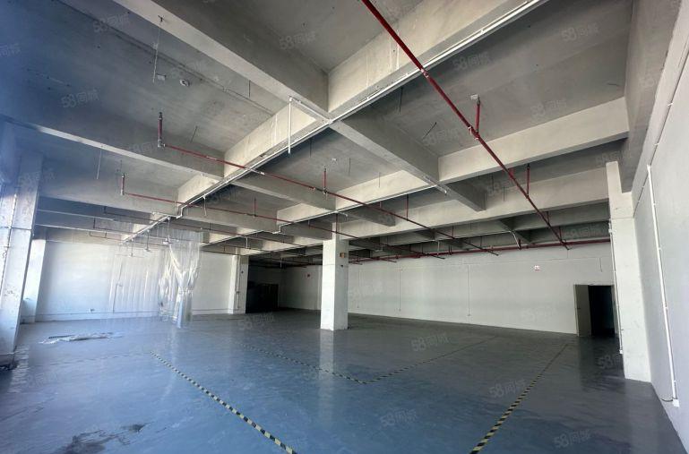 石岩一楼厂房出租内空400至1000平出租带装修工业园原房东