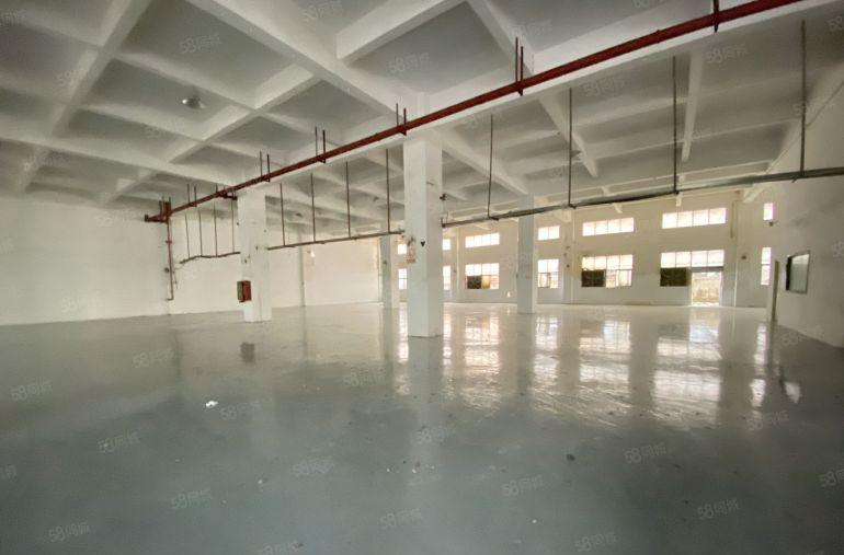 松岗江边第三工业区新出一楼2580平可分租全新地坪漆带办公室