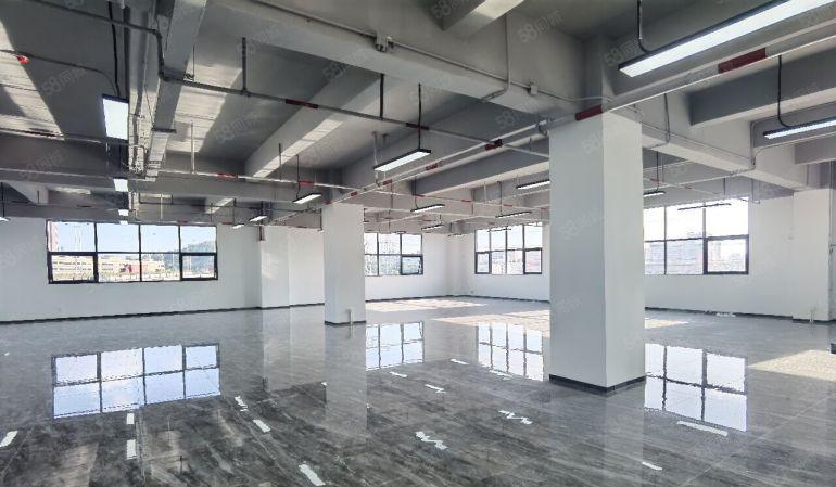 南山西丽留仙洞产业基地办公，研发590平全新装修